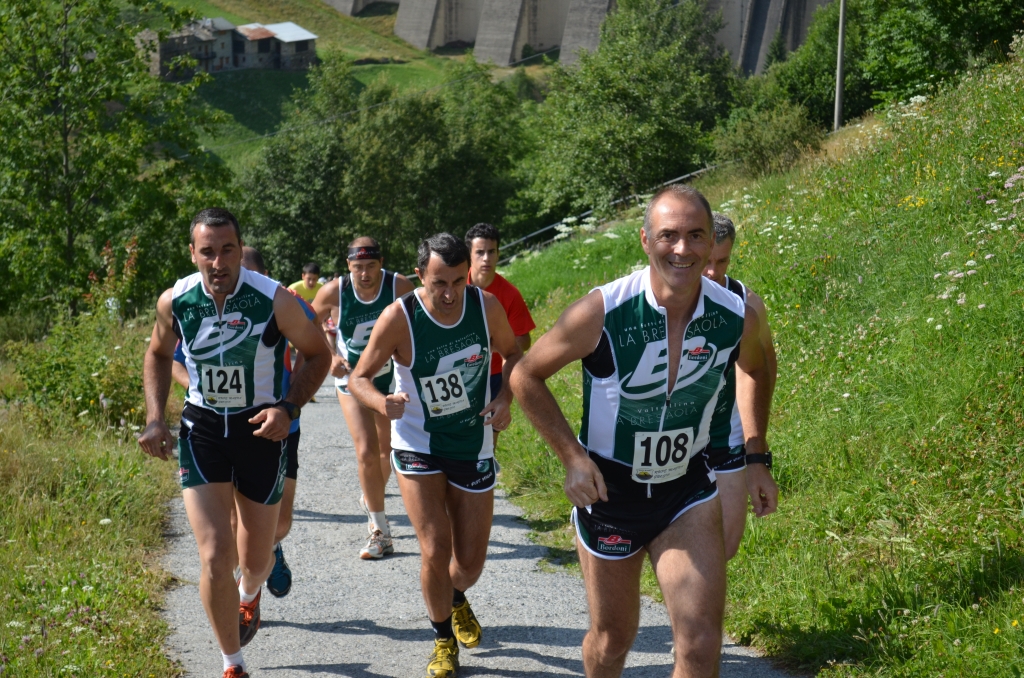 Immagine anteprima