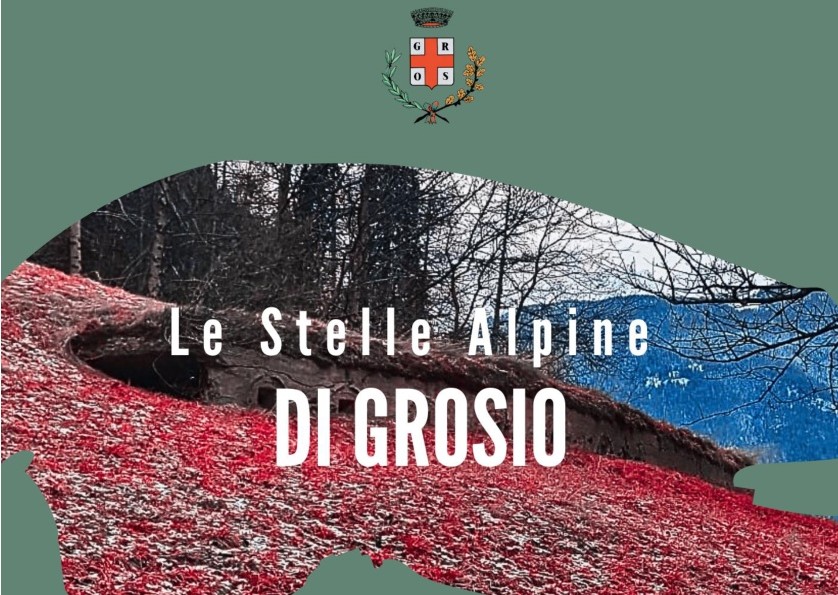 Immagine anteprima