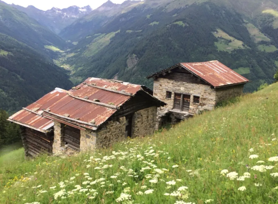 Immagine anteprima